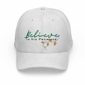 Gorras - Belive in his promises
